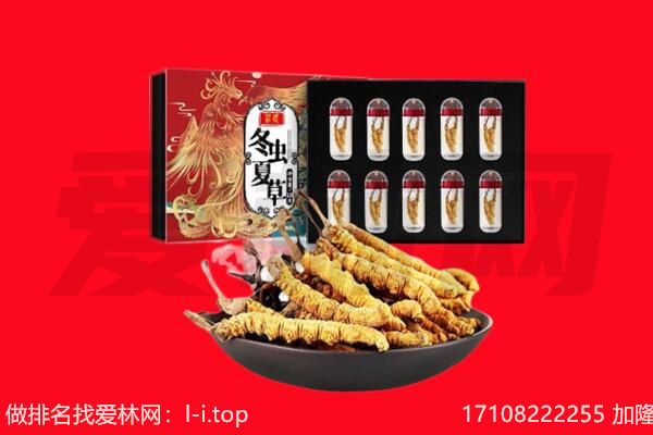 陇南市回收虫草.jpg